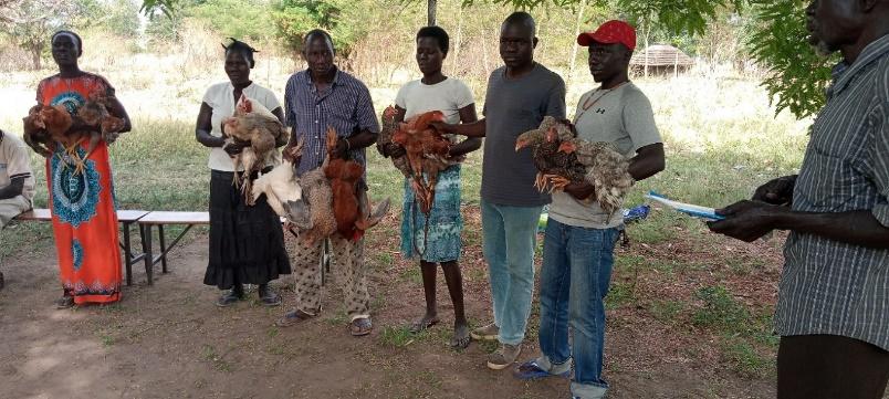 FOOD SECURITY AND LIVELIHOOD PROGRAM
